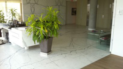 Tenant (Commercial) Reception, Honed Marble Floor - Scope of work: clean grout, sand, hone and protect floor with a penetrating sealer.